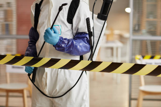 Professional Odor Removal technician working in Palo, MI